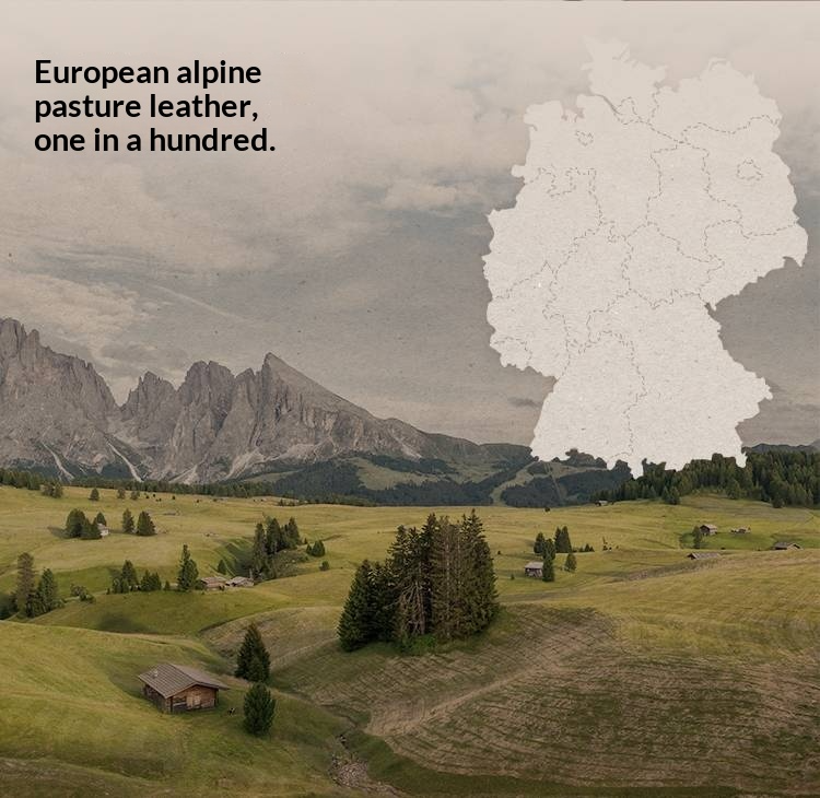 Genuine Leather Bauhaus Style Double Bed with Top Grain Cowhide Soft Backrest