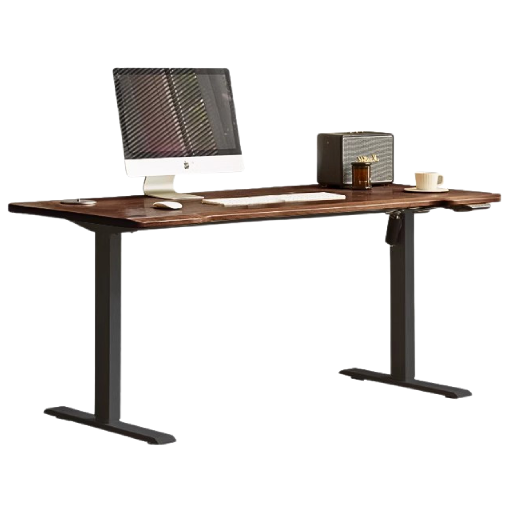 Black Walnut solid wood Electric Elevating Office desk-