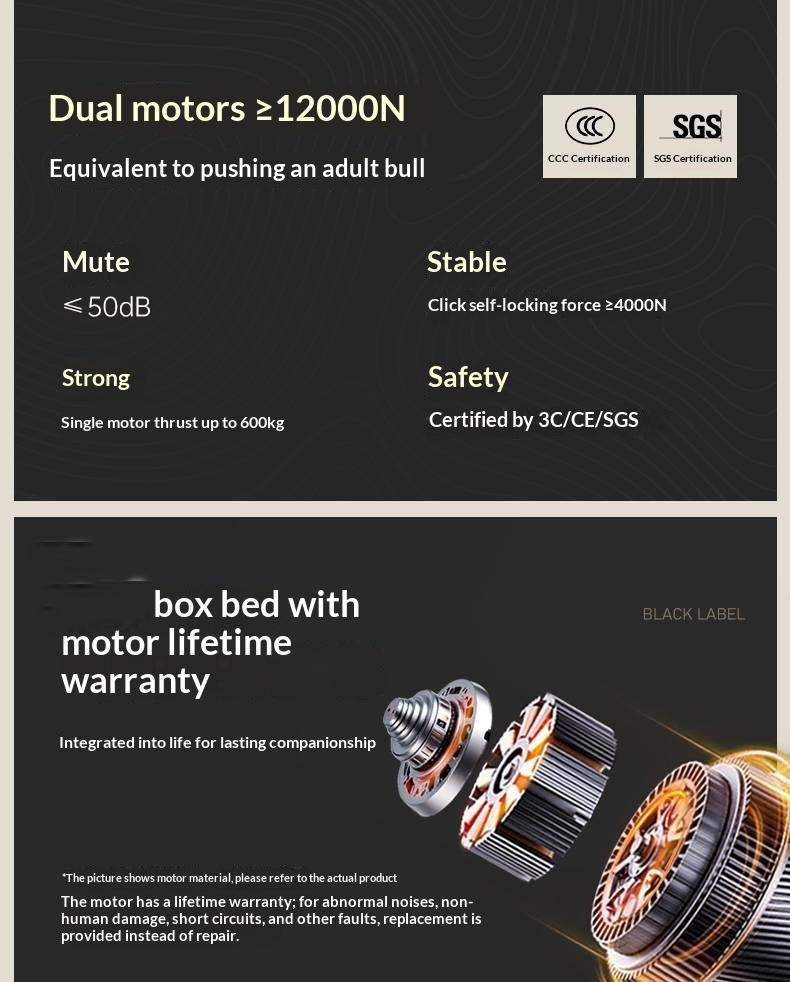 Black Walnut Solid Wood Italian Light Luxury Electric Suspended Box Bed