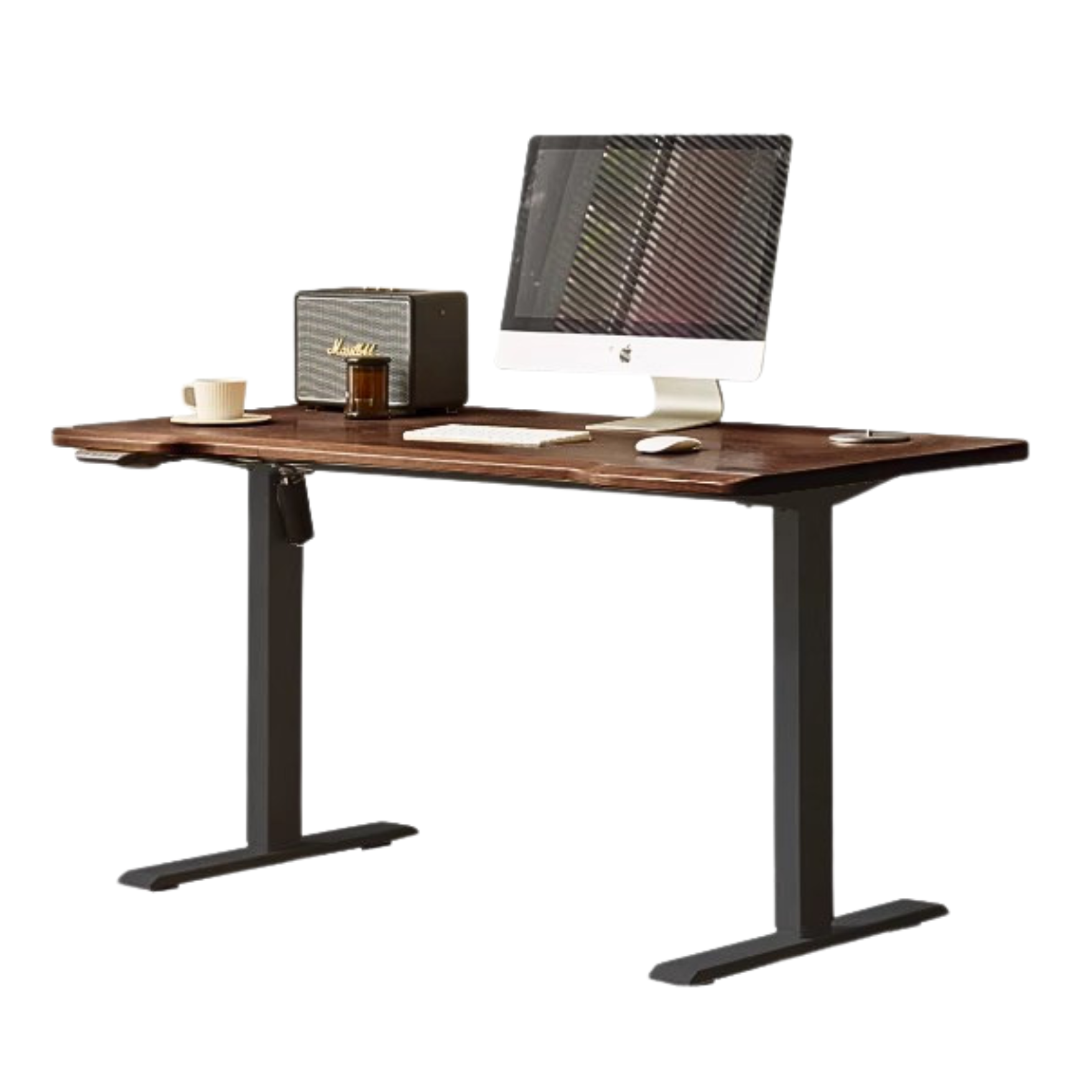 Black Walnut Solid Wood Electric Elevating Office Desk