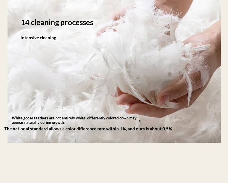 Black Walnut Solid Wood Italian Luxury Leather Bed