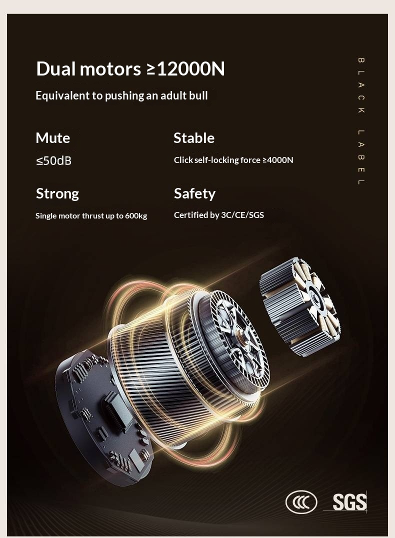 Ash Solid Wood Electric Storage Box Bed — Modern Minimalist Design