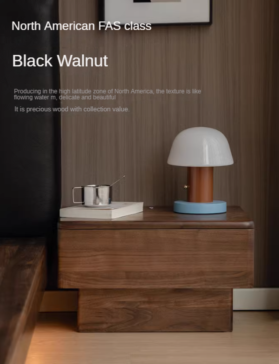 Black Walnut  Solid Wood Modern Floor-standing Nightstand