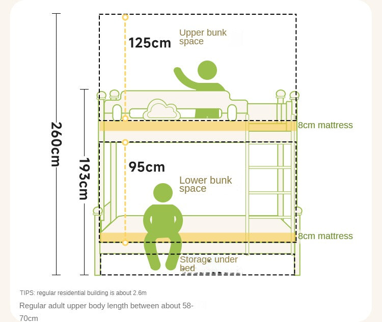 Beech solid wood children's bunk bed