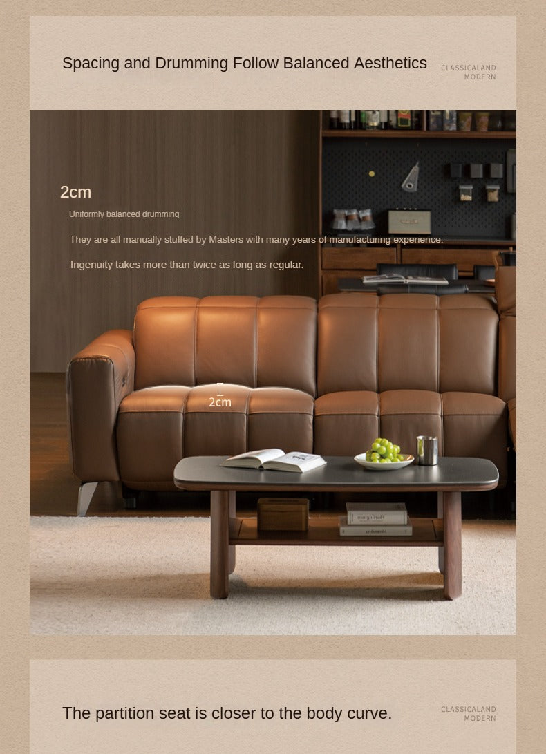 Electric Leather Zero Wall Function Sofa