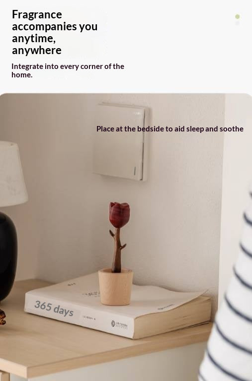 Black Walnut Solid Wood Fragrance Diffuser