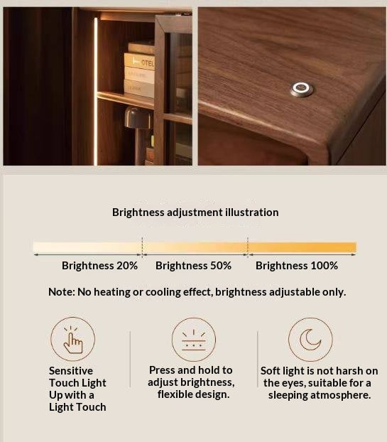 Black Walnut, Oak Solid Wood Bookcase with Storage Cabinet and Built-In Light