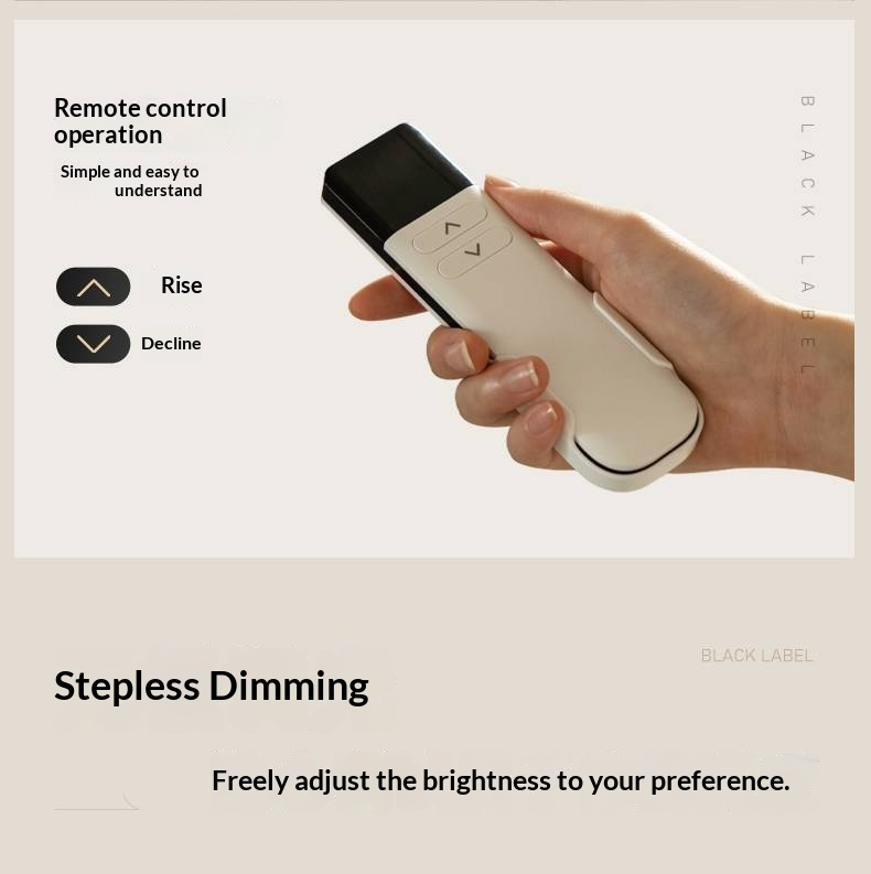 Ash Solid Wood Electric Storage Box Bed — Modern Minimalist Design