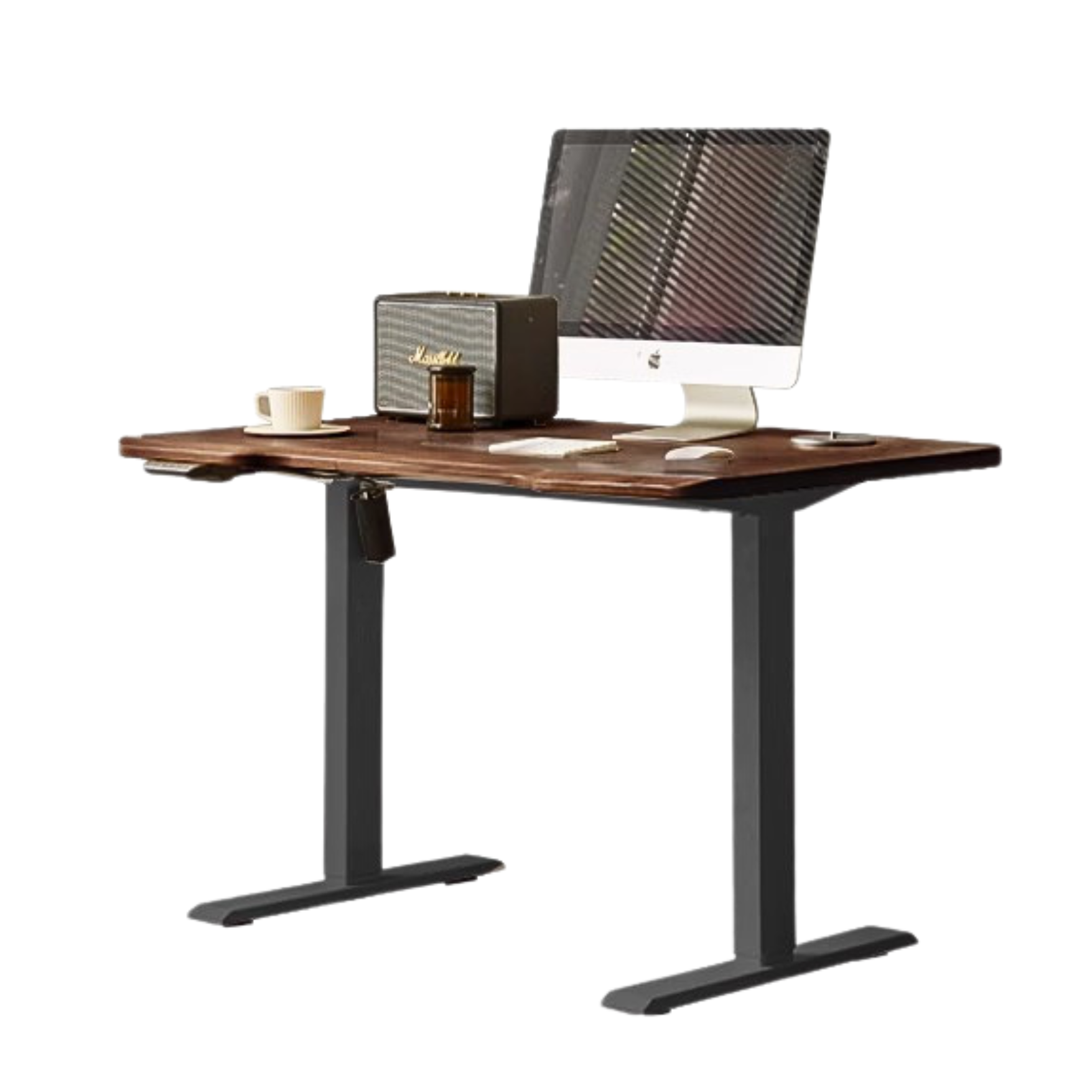 Black Walnut Solid Wood Electric Elevating Office Desk