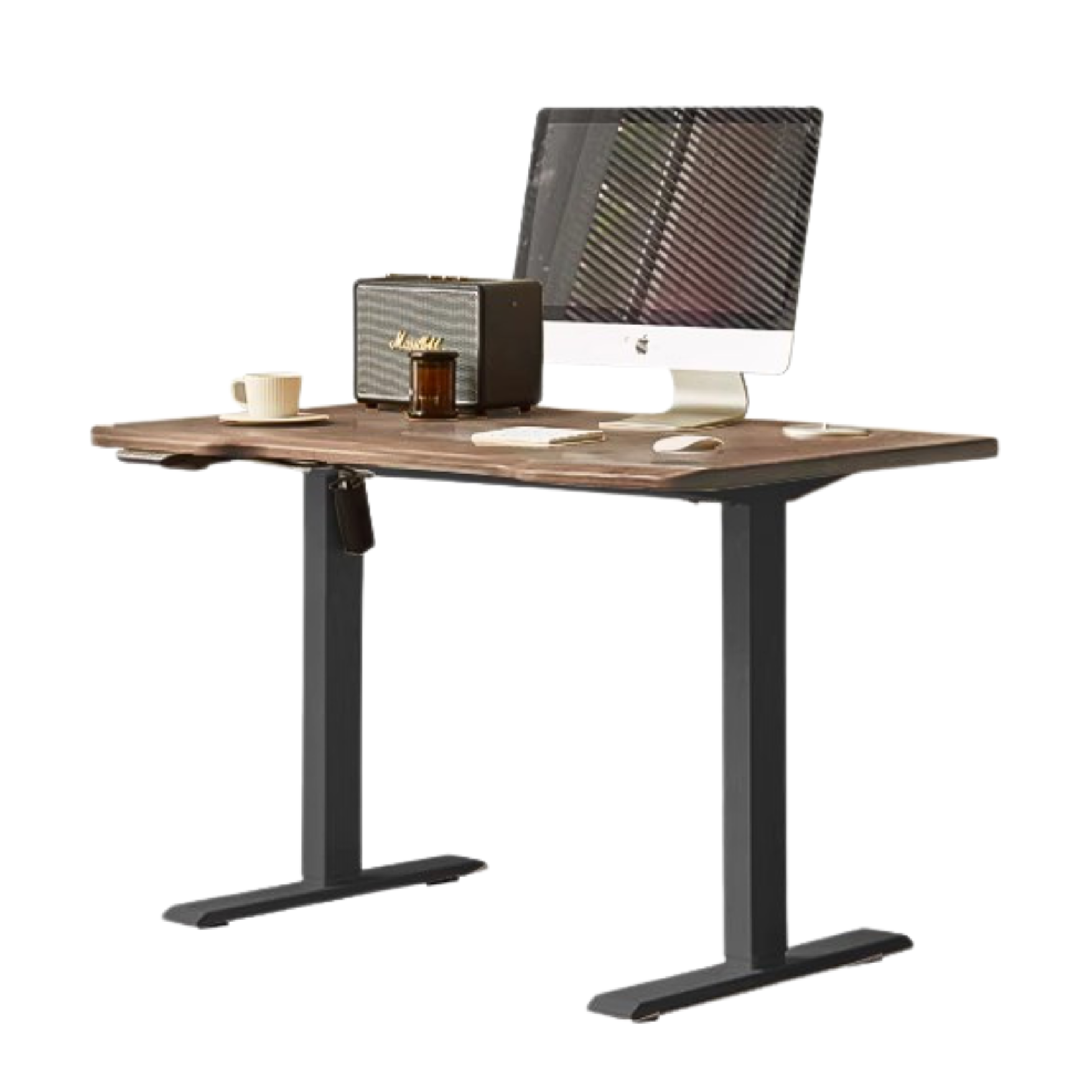 Black Walnut solid wood Electric Elevating Office desk-