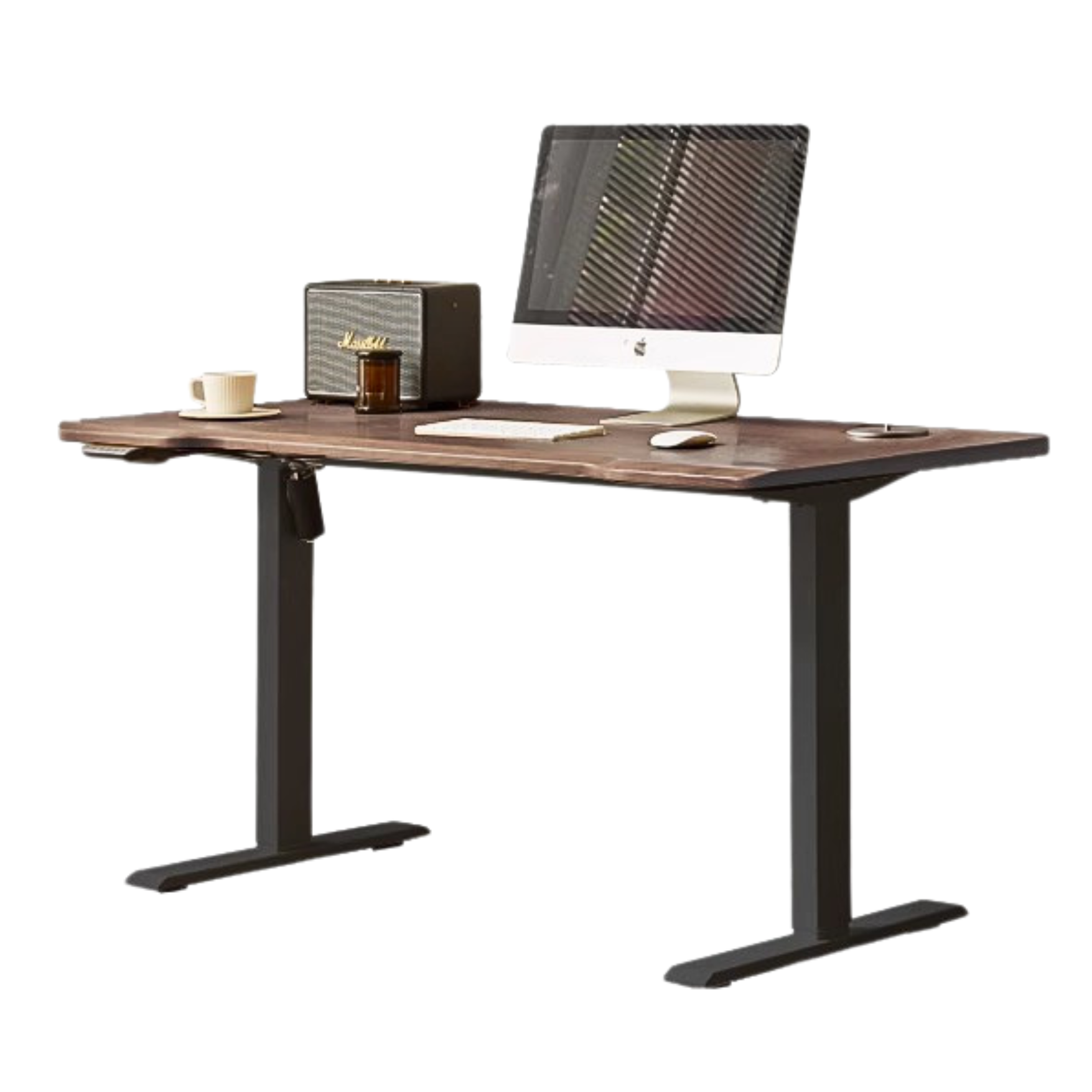 Black Walnut Solid Wood Electric Elevating Office Desk