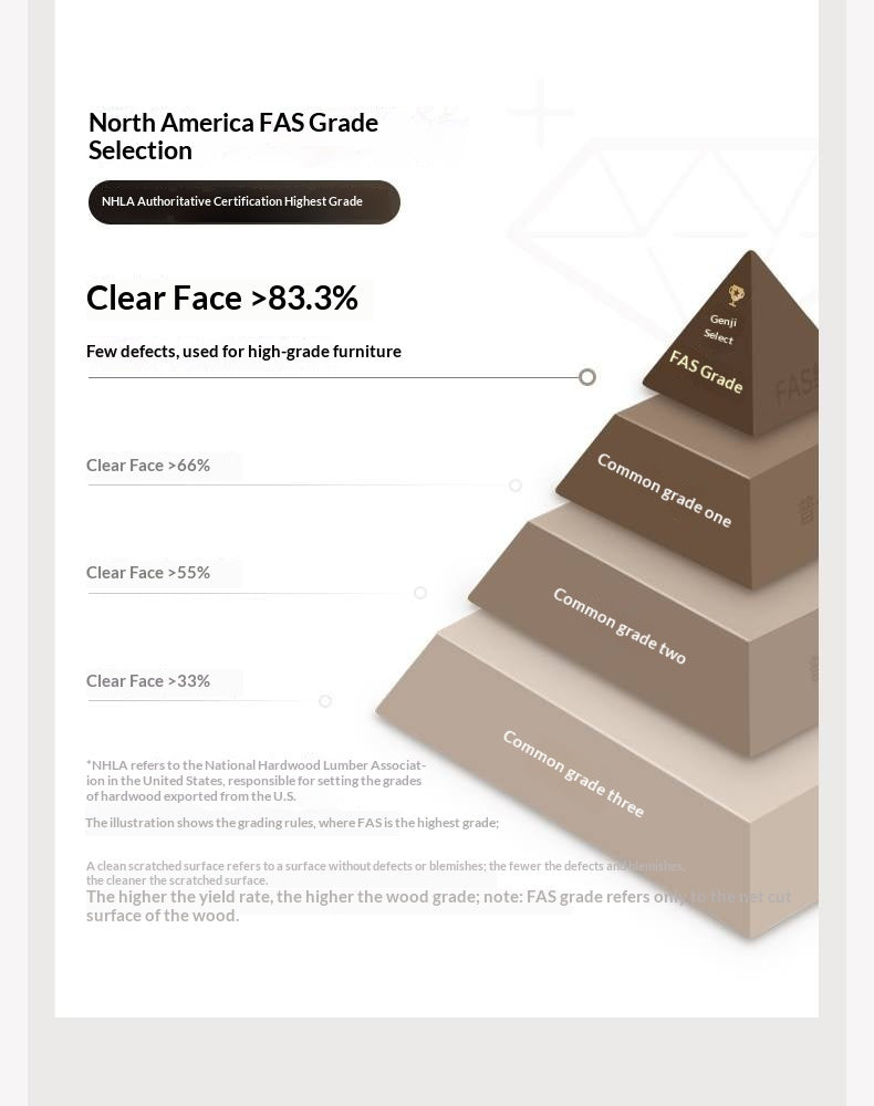 Black Walnut, Ash Solid Wood Modern Study Glass Bookcase