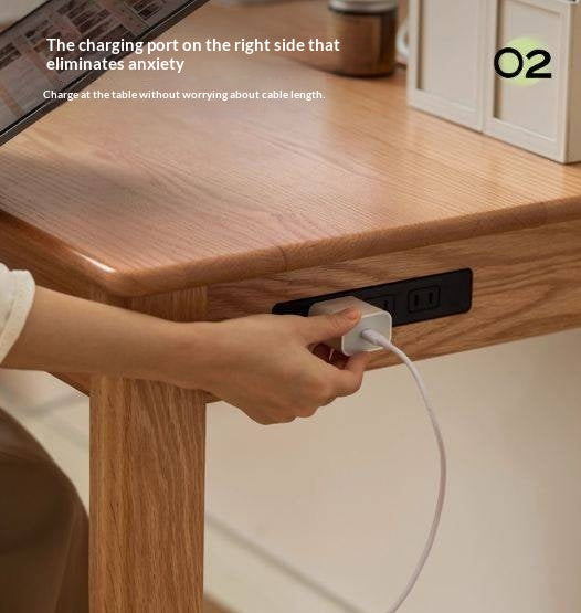 Oak, Ash Solid Wood USB Office Desk