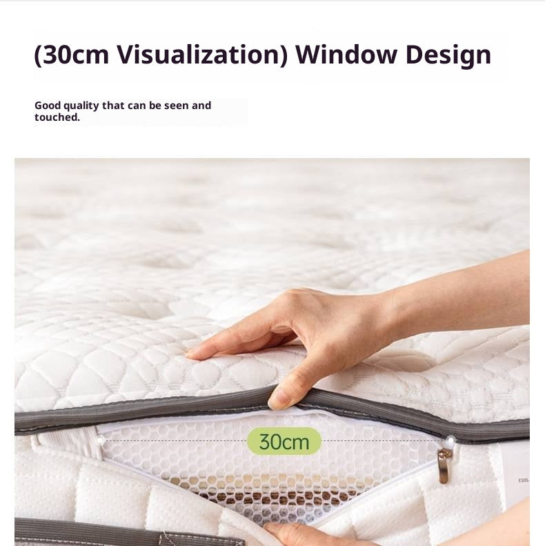 Natural Coconut Palm Hard Mattress with Latex and Simmons Spring