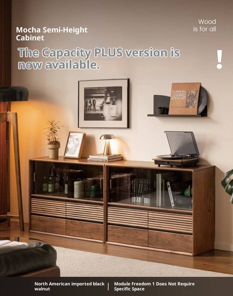 Black Walnut Solid Wood Italian Light Luxury Bookcase