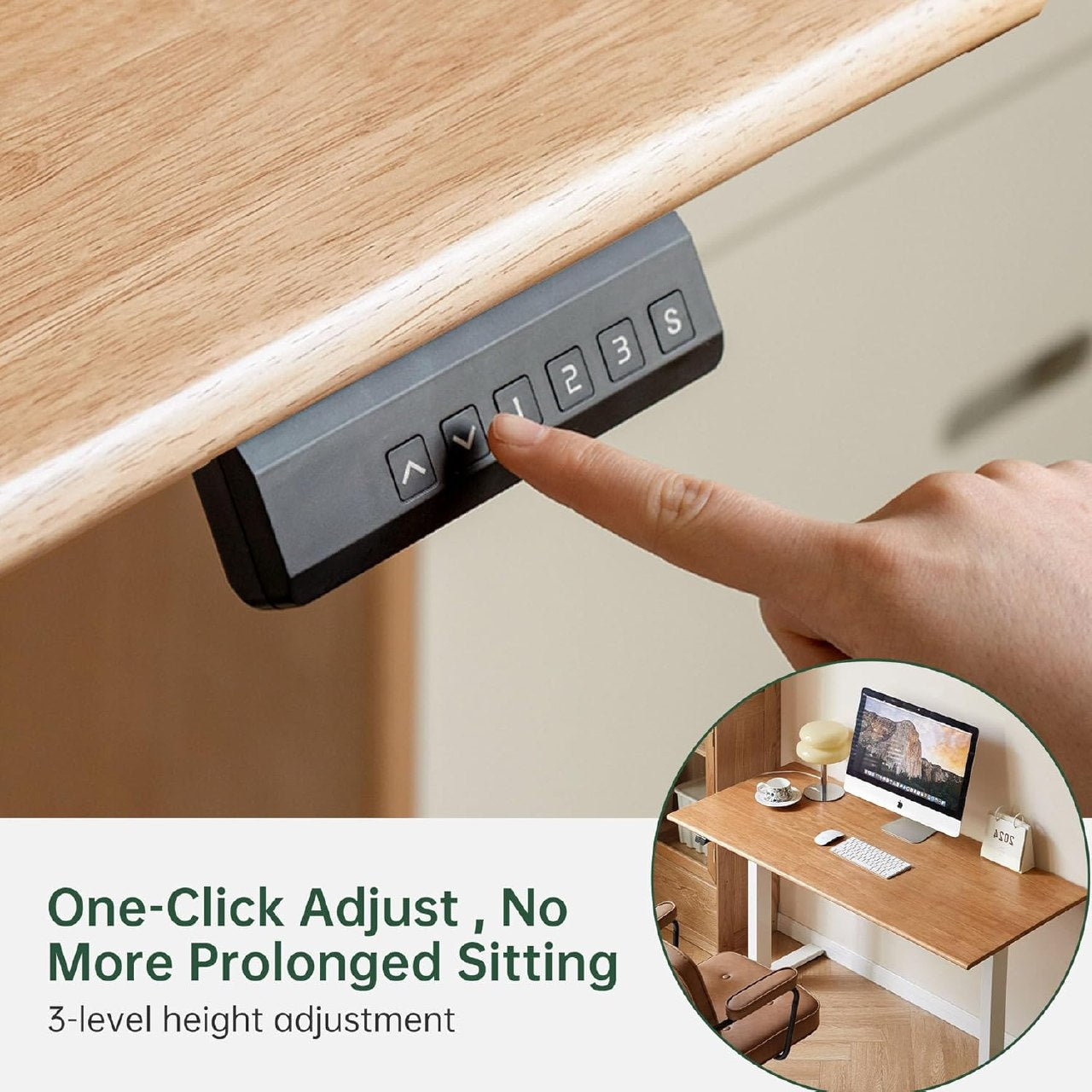 Roberwood electric Height Adjustable Desk