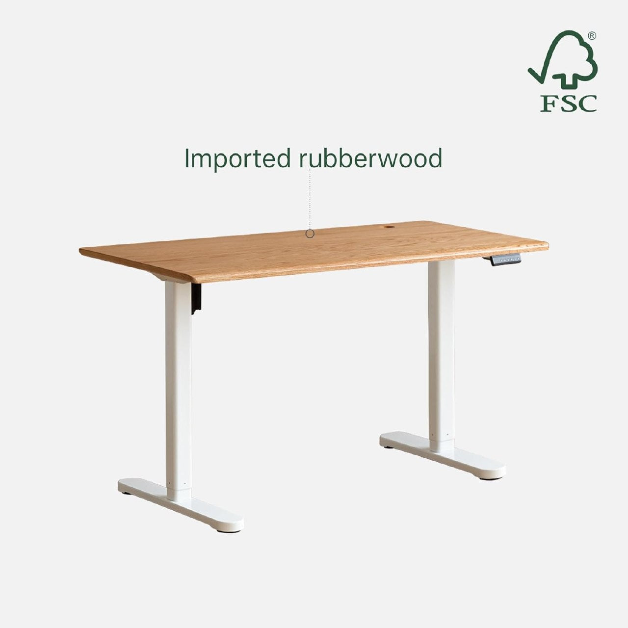 Roberwood electric Height Adjustable Desk