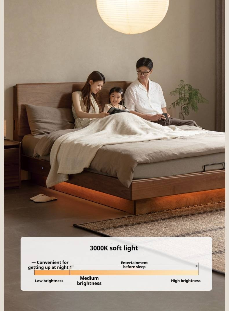 Black Walnut Solid Wood Italian Light Luxury Electric Suspended Box Bed