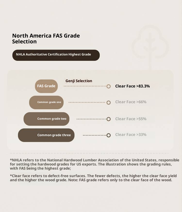 Black Walnut Solid Wood Light Luxury Box Bed