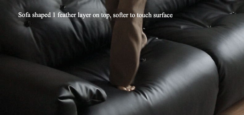 Ecological cloud leather Sofa Bed