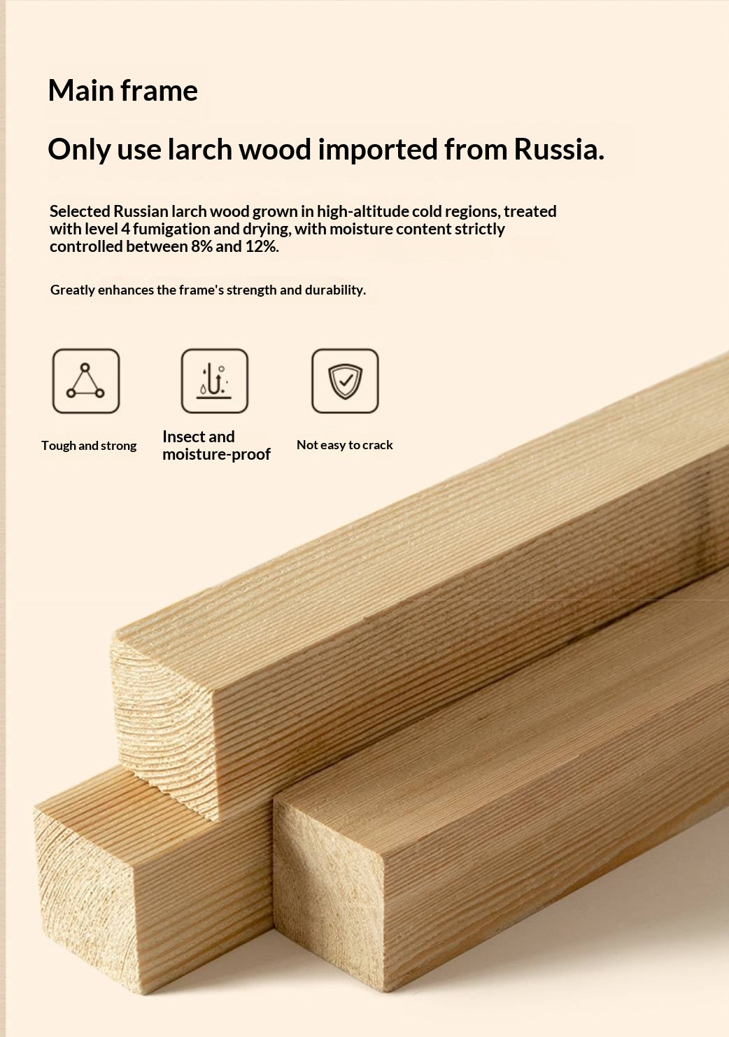 Genuine Leather Italian Normcore Modern Sofa