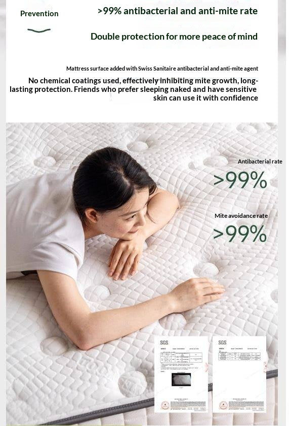 Natural Coconut Palm Hard Mattress with Latex and Simmons Spring