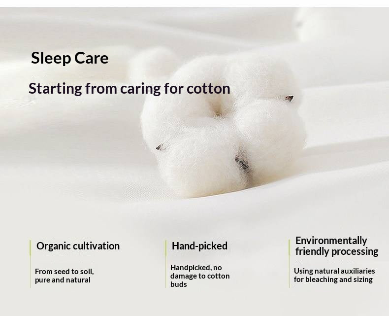 Zero-Glue Certified Natural Latex and Jute Mattress — Spring, Firm, Thick 22 cm