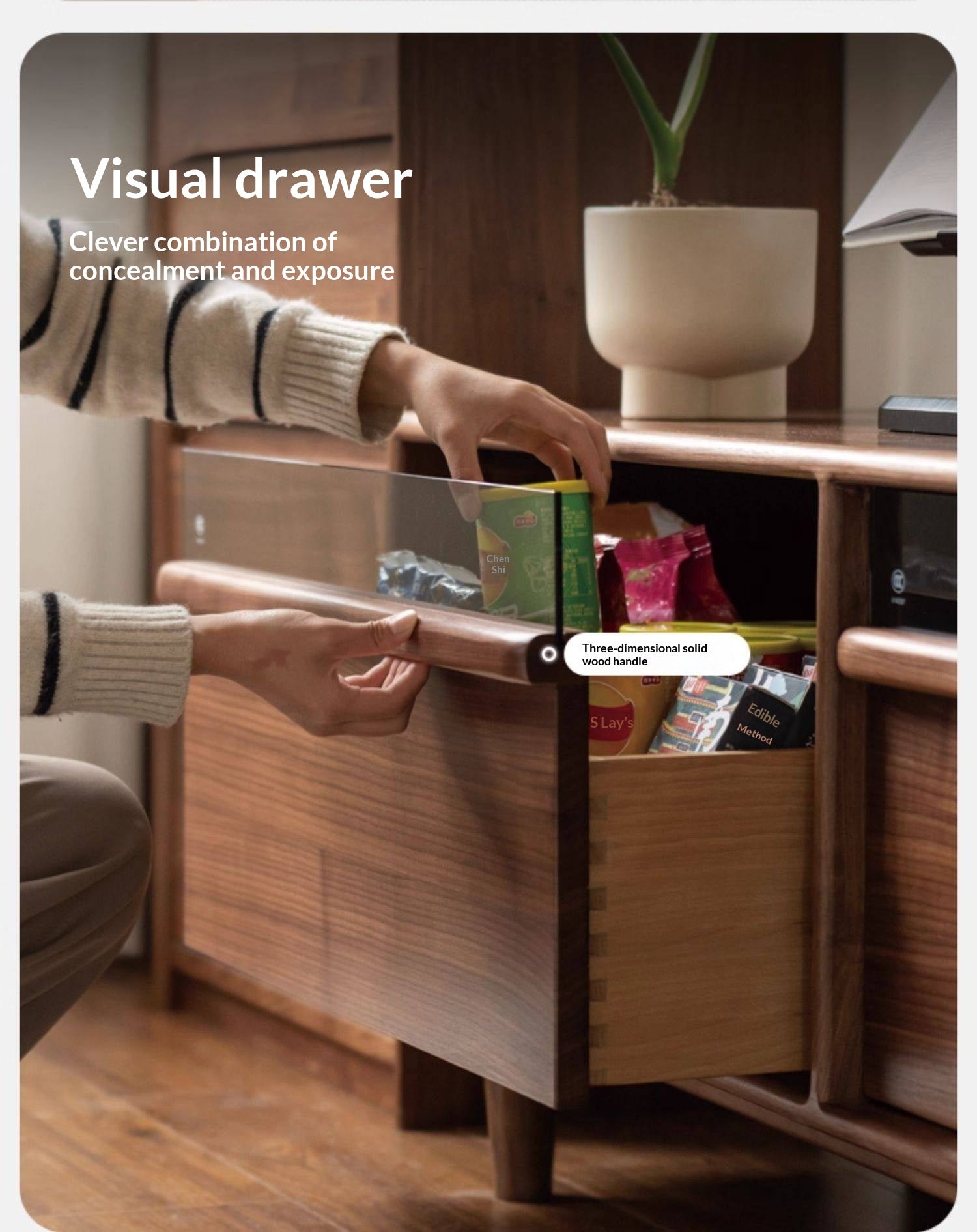 Black Walnut Solid Wood Modern TV Cabinet Locker Integrated.