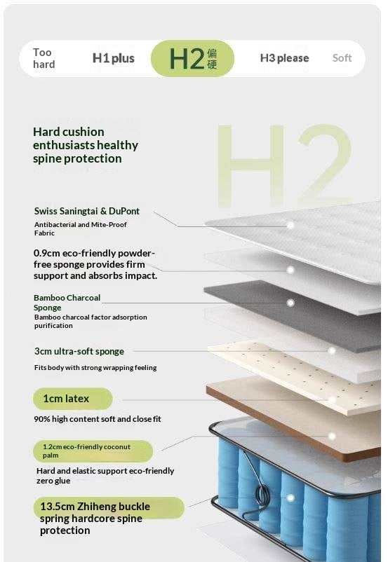 Natural Coconut Palm Hard Mattress with Latex and Simmons Spring