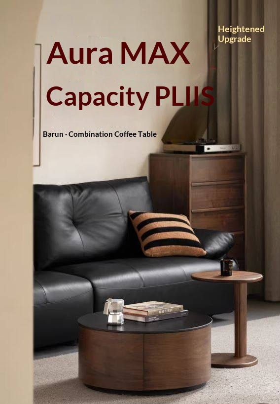 North American Black Walnut Solid Wood Italian Light Luxury Style Coffee Table