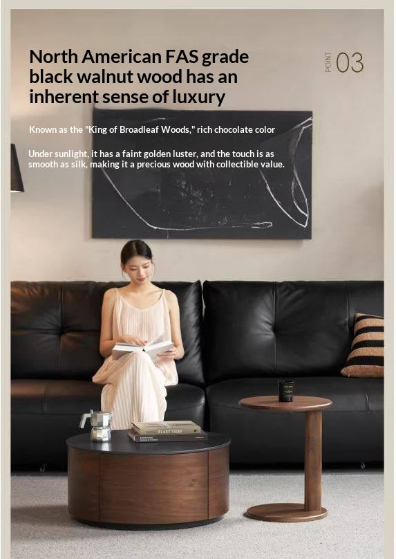 North American Black Walnut Solid Wood Italian Light Luxury Style Coffee Table