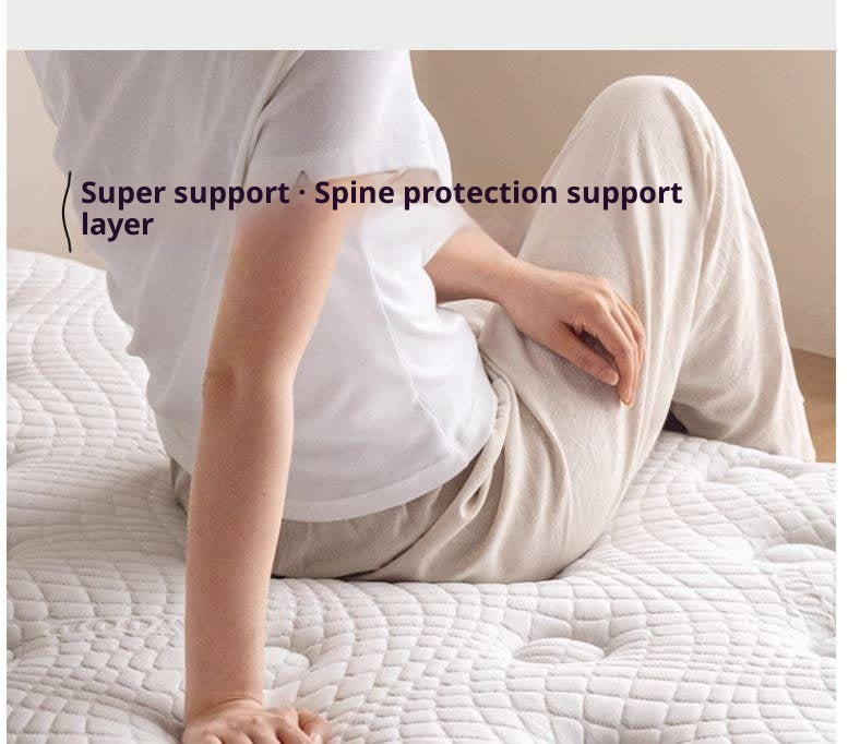 Natural Coconut Palm Hard Mattress with Latex and Simmons Spring