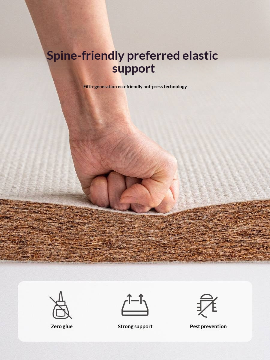 Natural Coconut Palm Hard Mattress with Latex and Simmons Spring