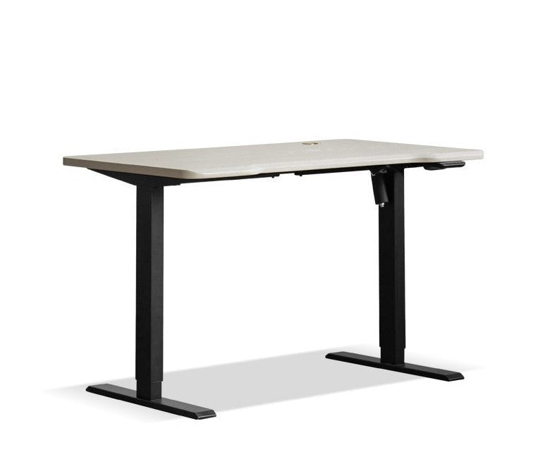 Standing desk Oak solid wood electric lift table"