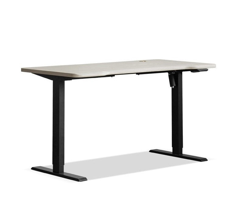 Standing desk Oak solid wood electric lift table"