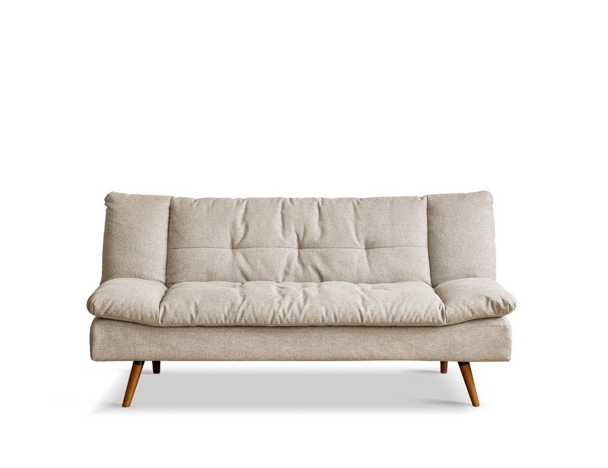 Fabric Sleeper sofa