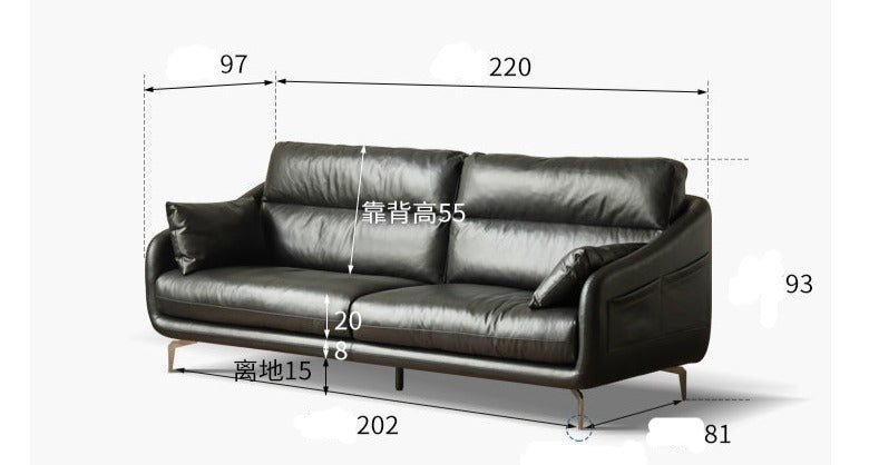 Classic Genuine Leather sofa-
