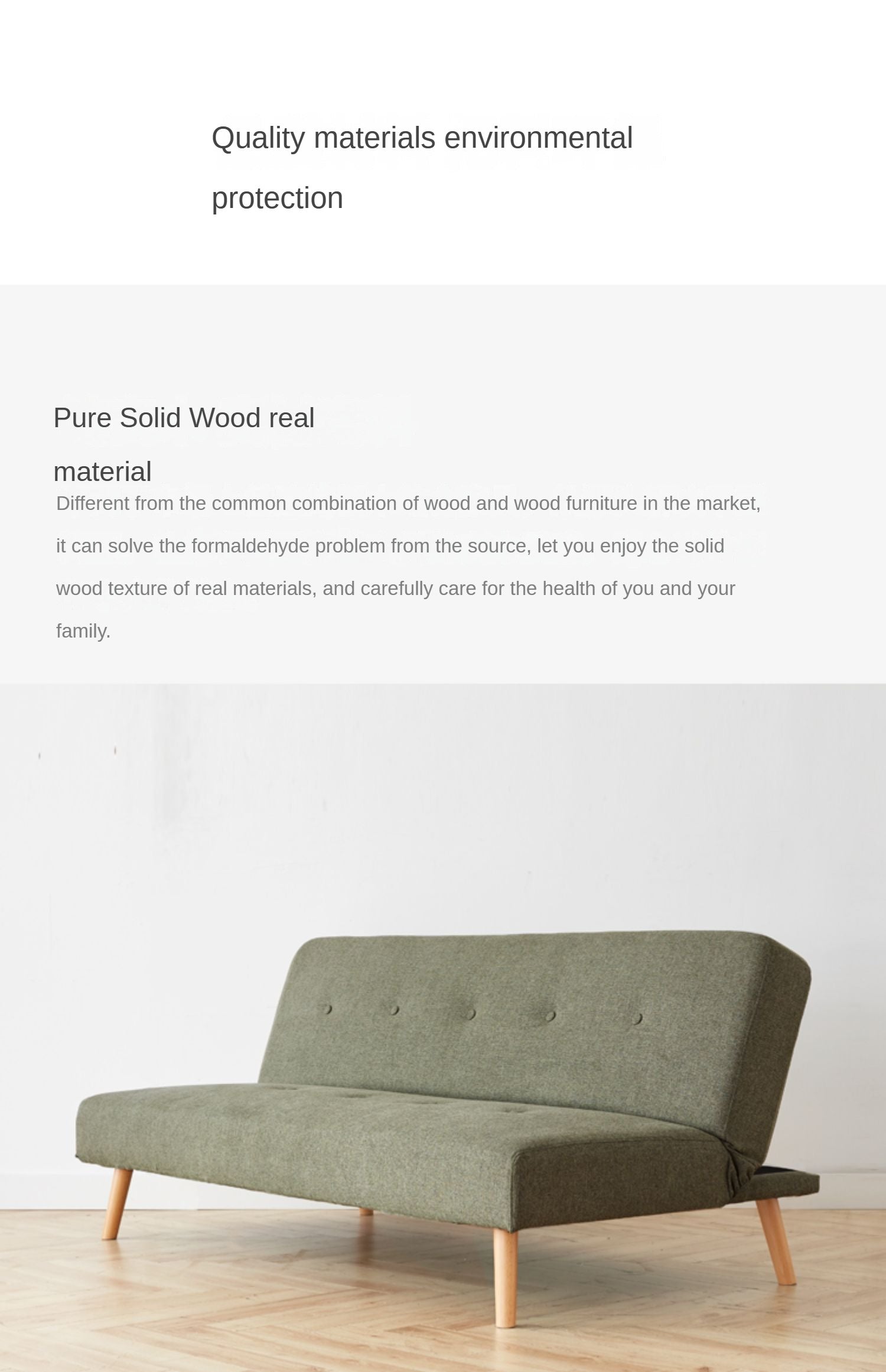 Sleeper sofa modern minimalist+